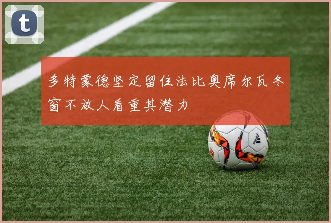 多特蒙德坚定留住法比奥席尔瓦冬窗不放人看重其潜力
